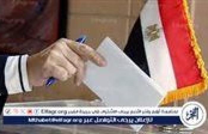 تعرف على موعد انتخابات جولة الإعادة لمجلس الشيوخ بالخارج
