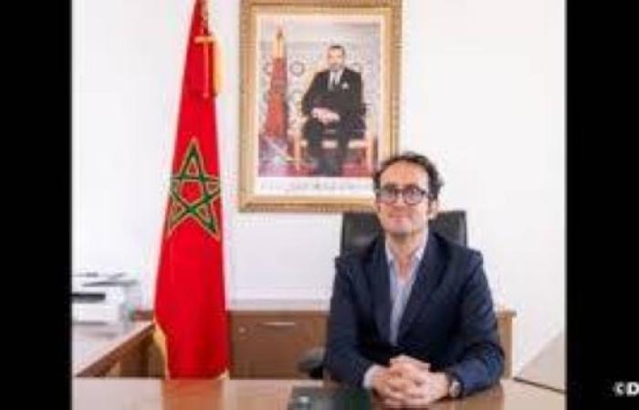 صابر بوطيب : إعادة برمجة خلايا الدم إلى خلايا جذعية مستحثة يفتح آفاقا واسعة في مجال العلاج الشخصي والبحث العلمي