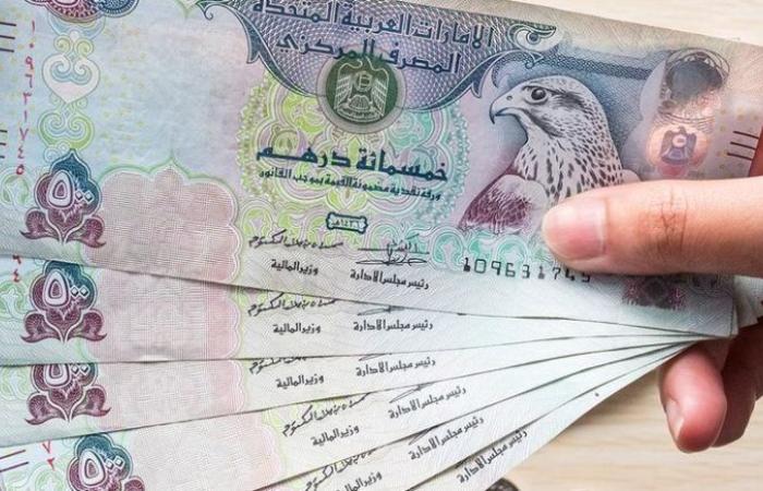 استقرار سعر الدرهم الإماراتي أمام الجنيه المصري اليوم السبت 23 أغسطس 2025