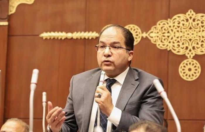 برلماني: تطوير موانئ بورسعيد تدعم مكانة مصر كمركز لوجستى عالمى
