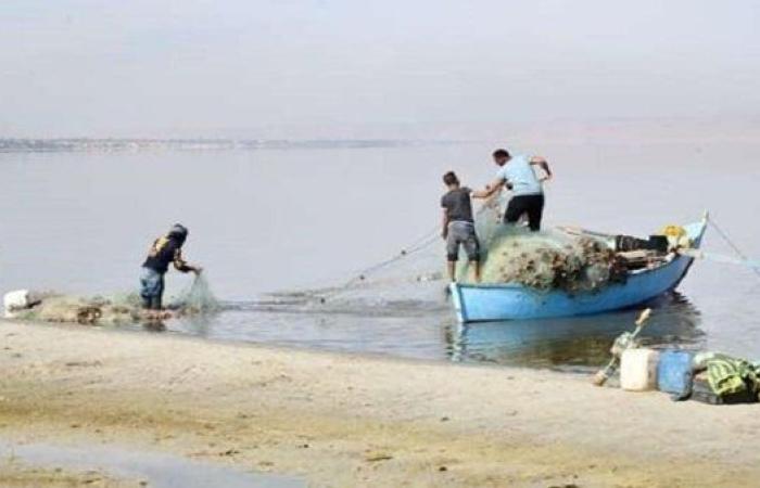 بحيرة قارون تستعيد عافيتها بإطلاق الدفعة الخامسة من يرقات الجمبري لتعزيز الإنتاج السمكي