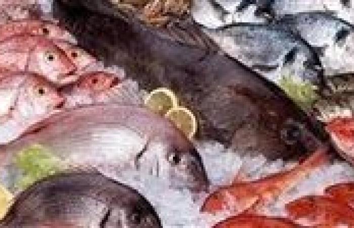 البلطي بـ70 جنيه..أسعار السمك اليوم الأحد 24-8-2025