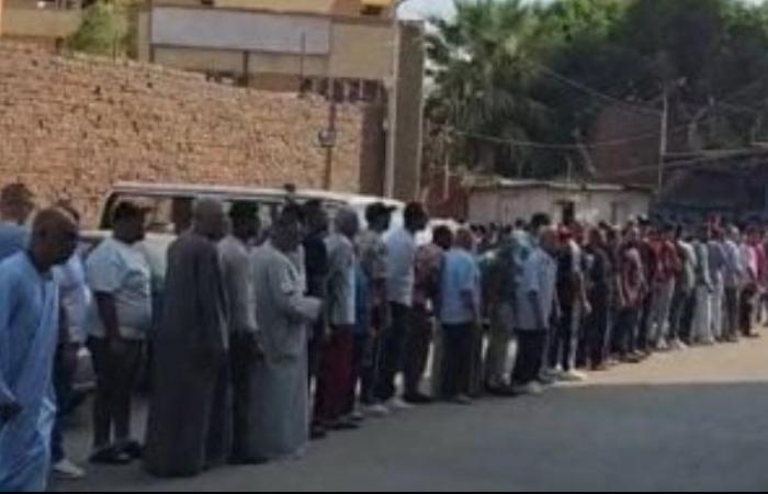 تنطلق غدا.. بدء الصمت الدعائى الثانى بانتخابات مجلس الشيوخ 12 ظهرا