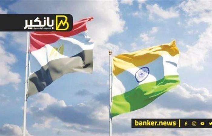 نمر آسيوي جديد يضخ 2 مليار دولار في مصر.. يا ترى إيه الحكاية