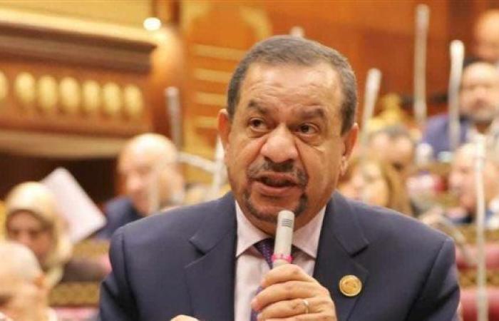 نائب: انتهاء مشكلة مستحقات مزارعي القطن يؤكد جهود الدولة للنهوض بالمحصول