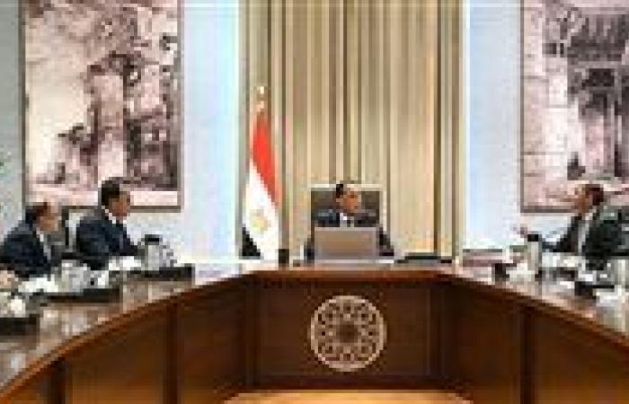 عاجل- الحكومة: دورات تدريبية لمواجهة الشائعات وتطوير الكوادر الإعلامية