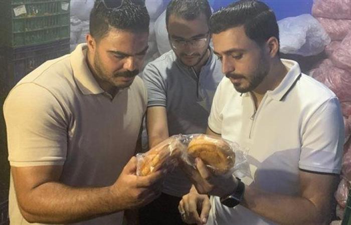 ضبط 4 آلاف عبوة شعرية سريعة التحضير مغشوشة وطن دجاج وعصائر فاسدة بالغربية