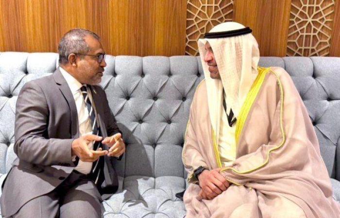 الكويت وموريشيوس تبحثان سبل تعزيز العلاقات الثنائية بين البلدين