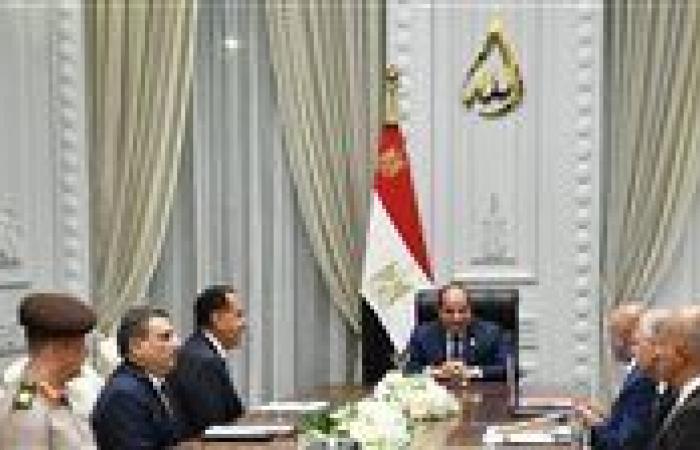 الرئيس السيسي يوجه بالعمل على جذب أكبر الخطوط الملاحية والمشغلين العالميين