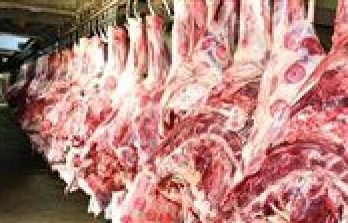 نقيب الفلاحين يعلن كيلو اللحمة بـ300 جنيه.. وشعبة القصابين ترد: تقصد العجول النافقة؟