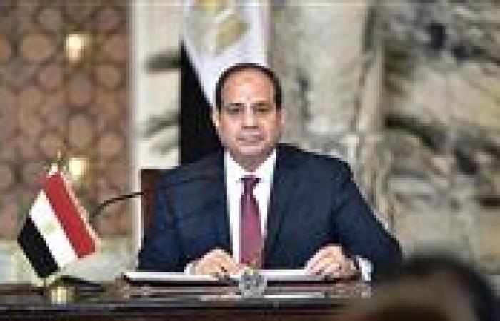 الرئيس السيسي يتابع خطط تطوير الموانئ ويوجّه بتعظيم العوائد الاقتصادية