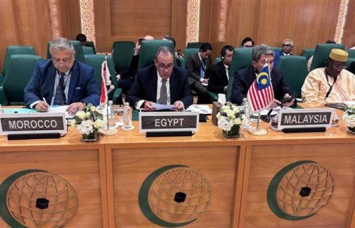 وزير الخارجية يشارك بالدورة الاستثنائية لمجلس ...