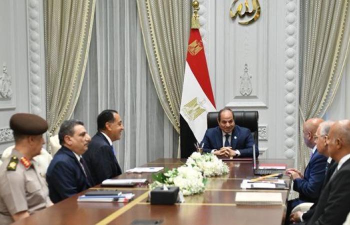 الرئاسة المصرية: افتتاح مونوريل شرق النيل نوفمبر 2025 والخط الأول للقطار الكهربائي السخنة مطروح يونيو 2026