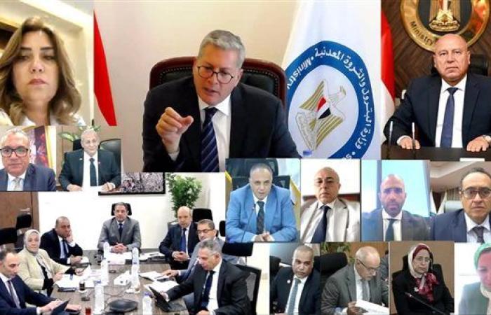 وزير البترول: شركات توزيع المنتجات البترولية ...