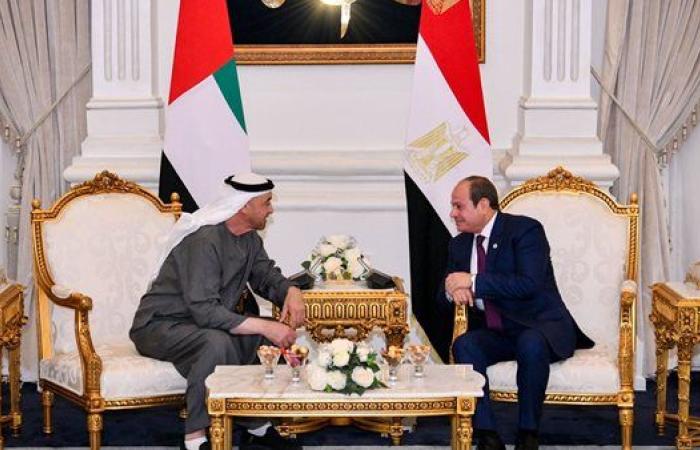 تفاصيل تطور الشراكة الاستراتيجية المصرية الإماراتية بقيادة السيسي وبن زايد