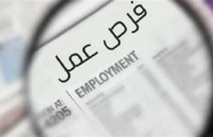 وظائف خالية اليوم الثلاثاء.. مطلوب عمال وفنيون ومشرفو إنتاج