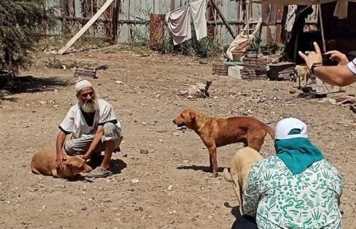 تطعيم 160 كلبًا ضد السعار في محافظة دمياط