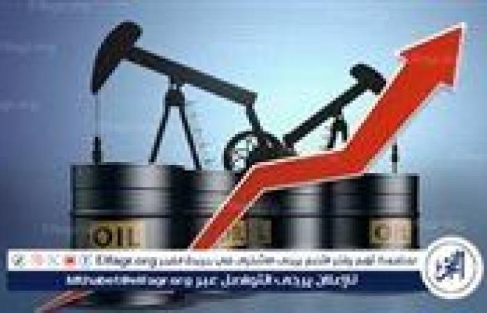 الحكومة: تطوير شامل لشركات التوزيع الوطنية.. واستثمارات جديدة لضمان سلامة وأمان إمدادات الوقود للمواطنين