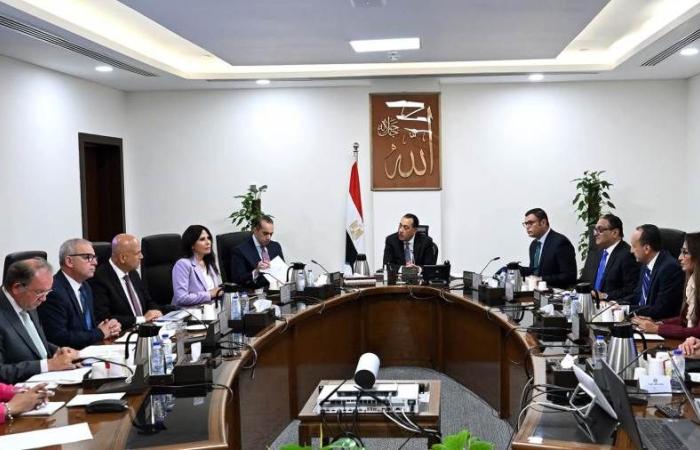«مدبولي»: شراكة مع القطاع الخاص لتنفيذ مشروعات الكهرباء بالمدن الجديدة