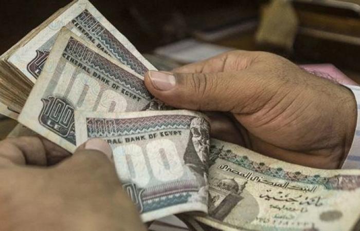 الإحصاء: زيادة في قيمة الأجور للعاملين في القطاع العام بنسبة 11.6% خلال عام 2023-2024