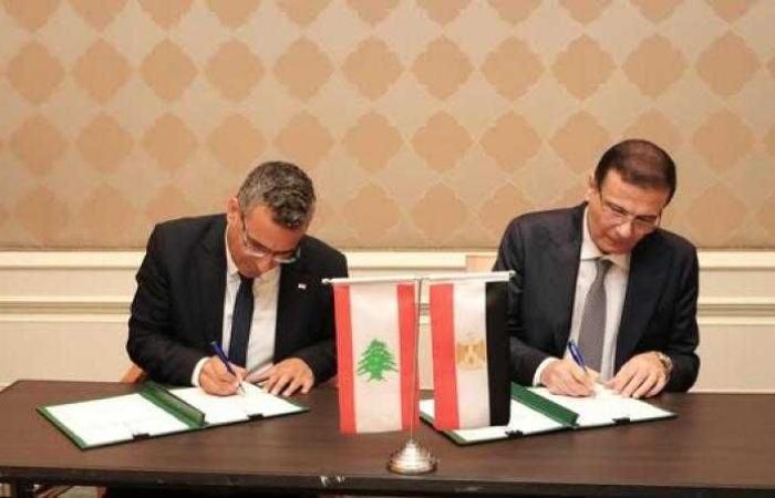 وزيرا الزراعة في مصر ولبنان يختتمان أعمال الدورة الخامسة للجنة الفنية المشتركة بالقاهرة