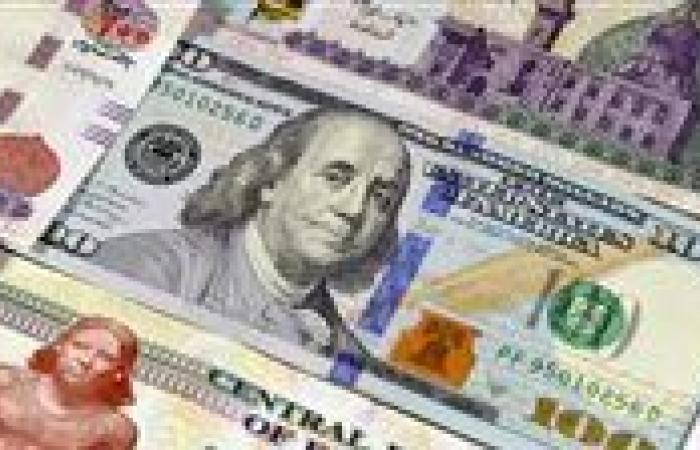 عاجل| من 40 إلى 52 جنيها.. آراء متباينة لمسار سعر صرف الدولار في 2025