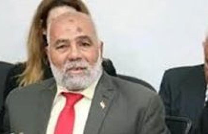 فرغل  : الإفراج عن أحمد عبد القادر يثبت أن كرامة المصريين خط أحمر