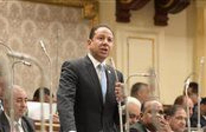 النائب حسن عمار: الاستثمار في تكنولوجيا المعلومات مفتاح لتعزيز الاقتصاد وتحسين الخدمات
