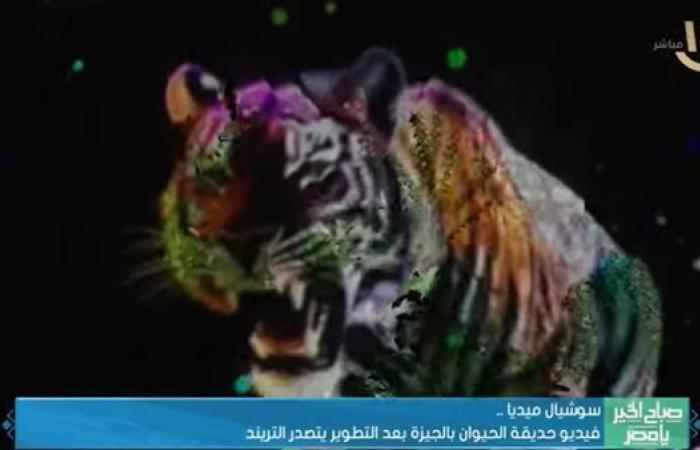 بفيديو جديد.. حديقة الحيوان بالجيزة تثير ضجة وتتصدر التريند
