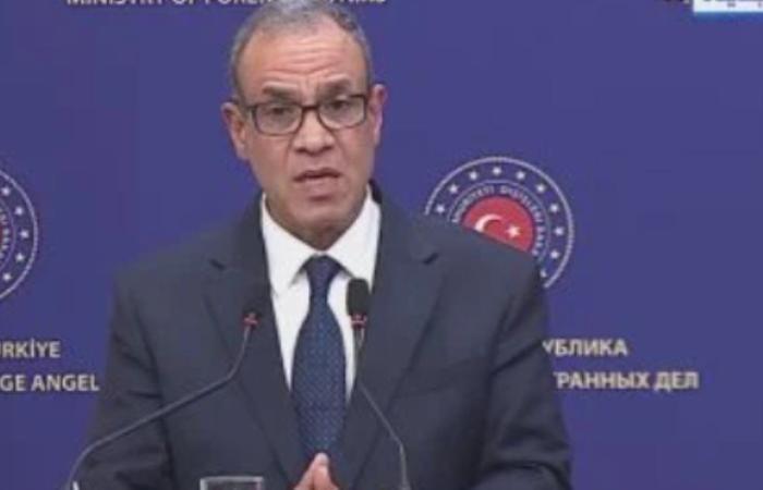 وزير الخارجية: الجهود المصرية - القطرية الأهم فى حقن دماء شعب فلسطين البريء