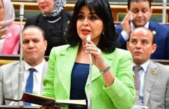 أمين "إعلام النواب" تؤكد ضرورة توحيد الصف الوطني لمواجهة مخططات الاخوان الإرهابية
