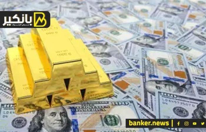 الدهب والدولار ومناخ الاستثمار.. ايه اللي هيحصل بعد قرار المركزي بتخفيض الفايدة؟