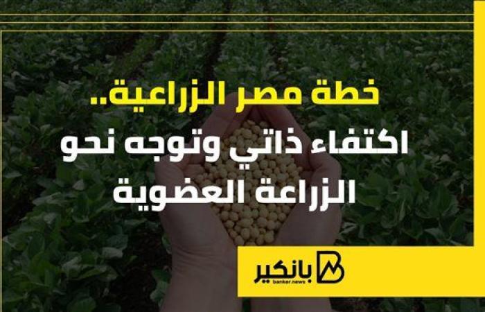 خطة مصر الزراعية.. اكتفاء ذاتي وتوجه نحو الزراعة العضوية | إنفوجراف