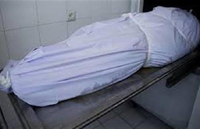 صعق بالكهرباء ينهي حياة شقيقين بالمنيا.. تفاصيل حادث مزرعة البربا
