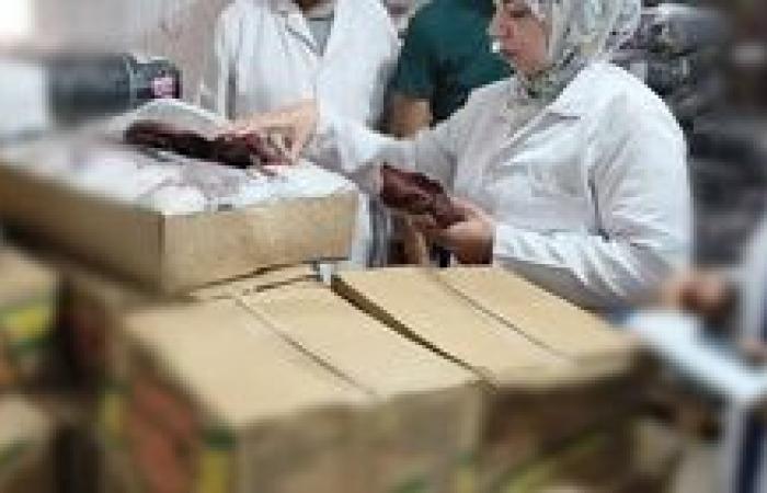 ضبط مصنعات لحوم ومجمدات منتهية الصلاحية بمدينة العاشر من رمضان