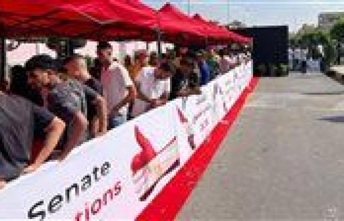 وفقا لحصر العددي.. مستقبل وطن وحماة الوطن والجبهة الوطنية يحسمون جولة الإعادة لانتخابات الشيوخ