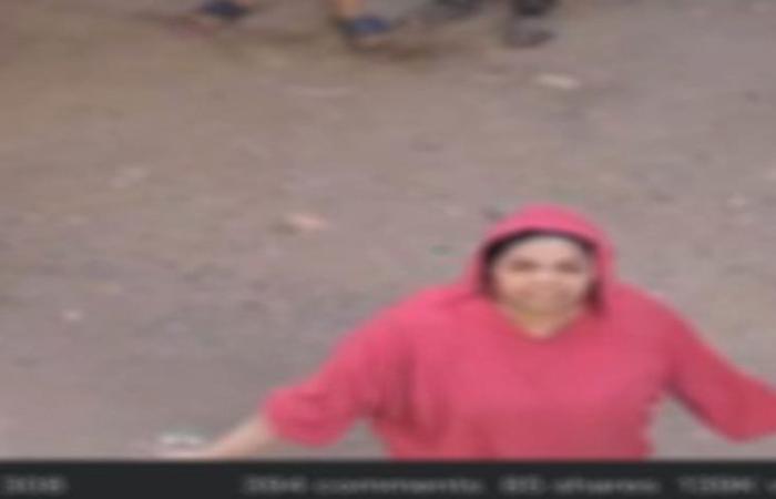 بعد تداول الفيديو.. ضبط سيدة وآخرين لاتهامهم بأعمال البلطجة وترويع المارة بالمرج
