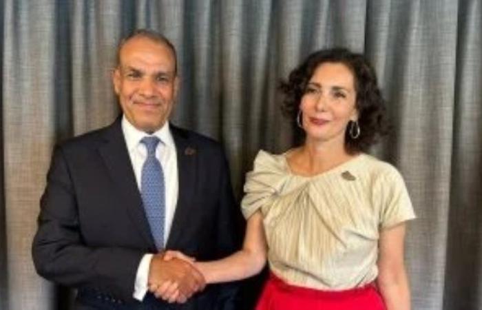 وزير الخارجية يلتقي المفوضة الأوروبية لإدارة الأزمات