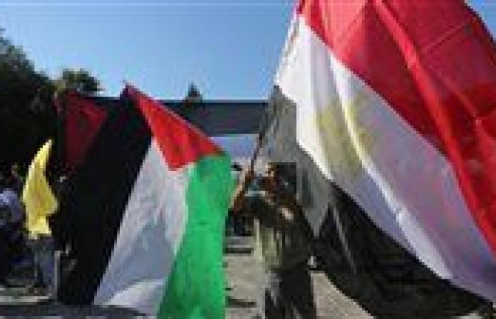 مفوض حقوق الإنسان بالأردن: مصر ركيزة أساسية في دعم القضية الفلسطينية