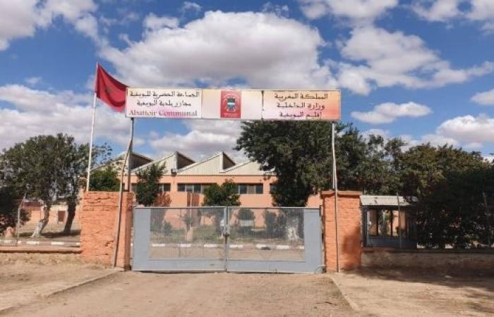 اليوسفية.. مواطنون يطالبون تدخل عامل الإقليم لتفعيل رخصة الذبيحة بالمجزرة البلدية