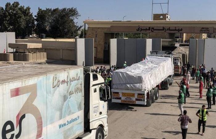 قافلة "زاد العِزّة" الثامنة تنطلق نحو غزة وسط قيود إسرائيلية صارمة