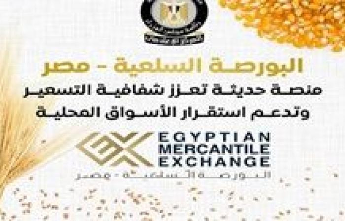 الحكومة: 21.5 مليار جنيه إجمالي قيم التداولات بالبورصة السلعية بنهاية يوليو 2025.. أبرزها القمح والسكر