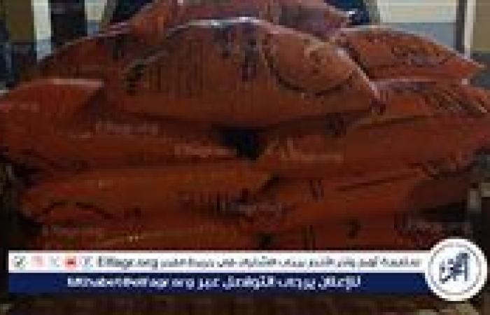 الزراعة: ضخ 18 مليون شيكارة أسمدة تغطي 80% من احتياجات الموسم الصيفي