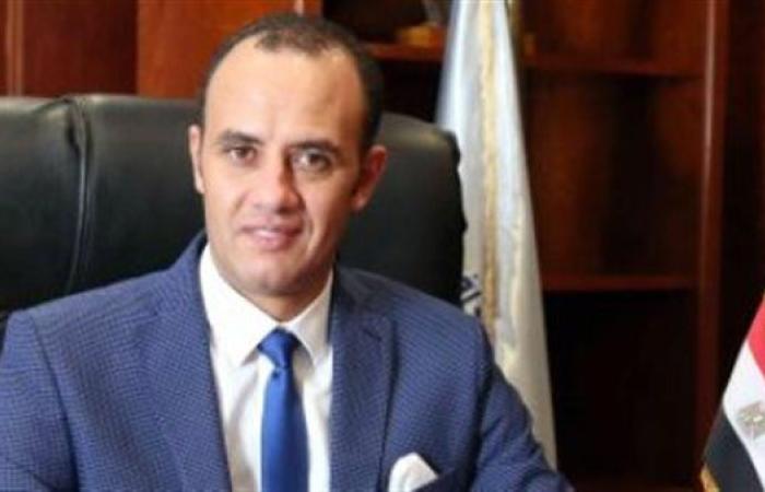 رئيس شعبة الدواجن: الأسعار لن تشهد ارتفاعات في الفترة المقبلة