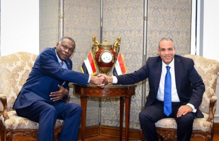 وزير الخارجية: مصر تؤكد رفضها الكامل لمحاولات زعزعة وحدة السودان ومؤسساته الوطنية