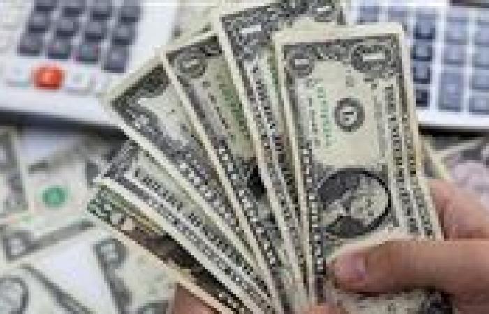 سعر الدولار في البنوك المصرية اليوم الأربعاء 3 سبتمبر 2025