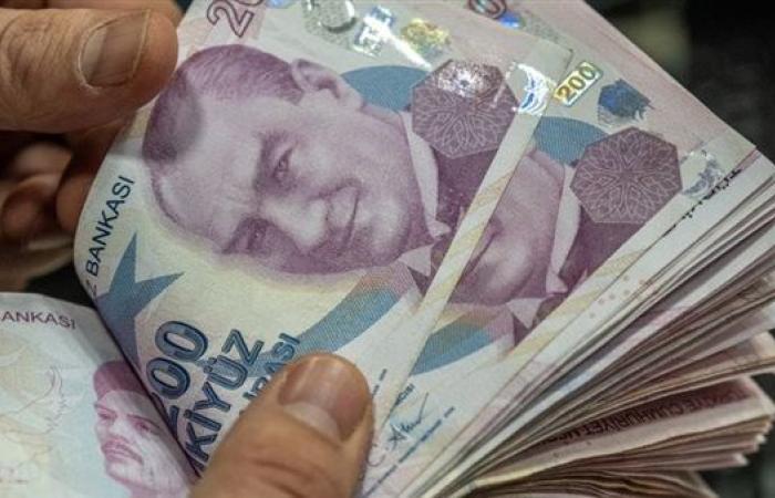 البنوك الحكومية في تركيا تبيع 5 مليارات دولار للدفاع عن الليرة