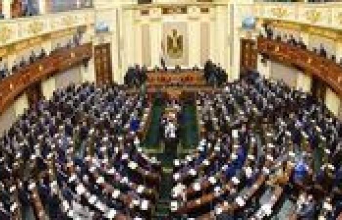عضو مجلس نواب: ملف التعليم في مصر مالوش صاحب.. ونحتاج لرؤية شاملة