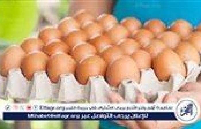 أسعار طبق البيض اليوم الخميس 4-9-2025 في قنا