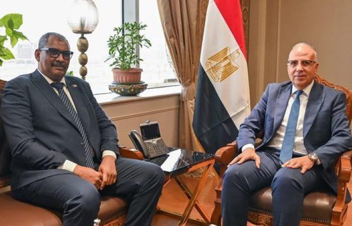 مياه النيل تجمع مصر والسودان| وزيرا الري: ملتزمون بالحفاظ على الحقوق المائية وتعزيز التنسيق المشترك